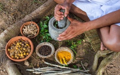 Ayurveda es un saber que llevamos dentro