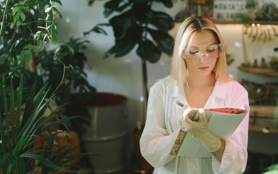 Maharishi Ayurveda: El estándar de oro en pureza y tradición milenaria