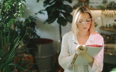Maharishi Ayurveda: El estándar de oro en pureza y tradición milenaria